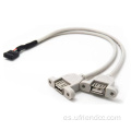 Ph2.0 Cable de cable de placa base Doble USB-A